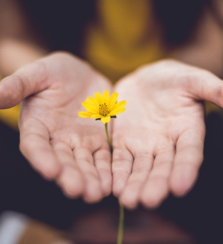 Non-profit organization promoting nature care and community donations at site2.adinanweb.com